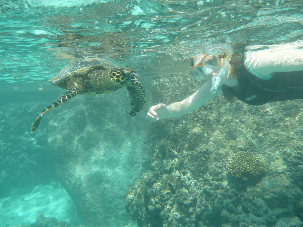 Snorkel met je eigen schilpad bij Ile Coco en Felicite op de Seychellen