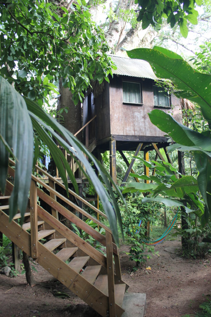 Treehouse van Parrot Nest Lodge in San Ignacio Belize