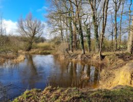 Tips voor een weekendje Twente: wandelen bij Het Lutterzand