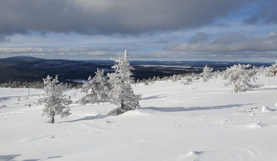 Uitzicht in winters Lapland