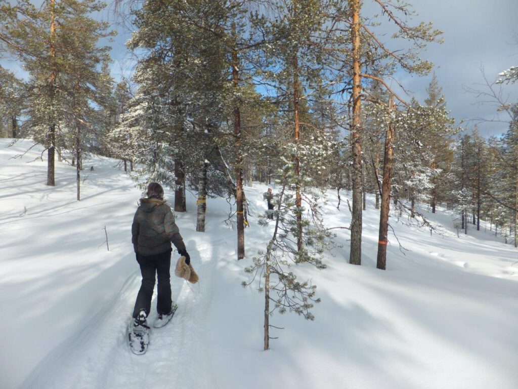 Boek zelf een huisje voor een low budget reis naar Finland