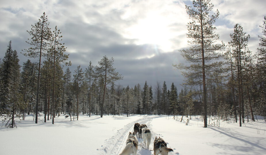 Huskysafari wintersport Finland