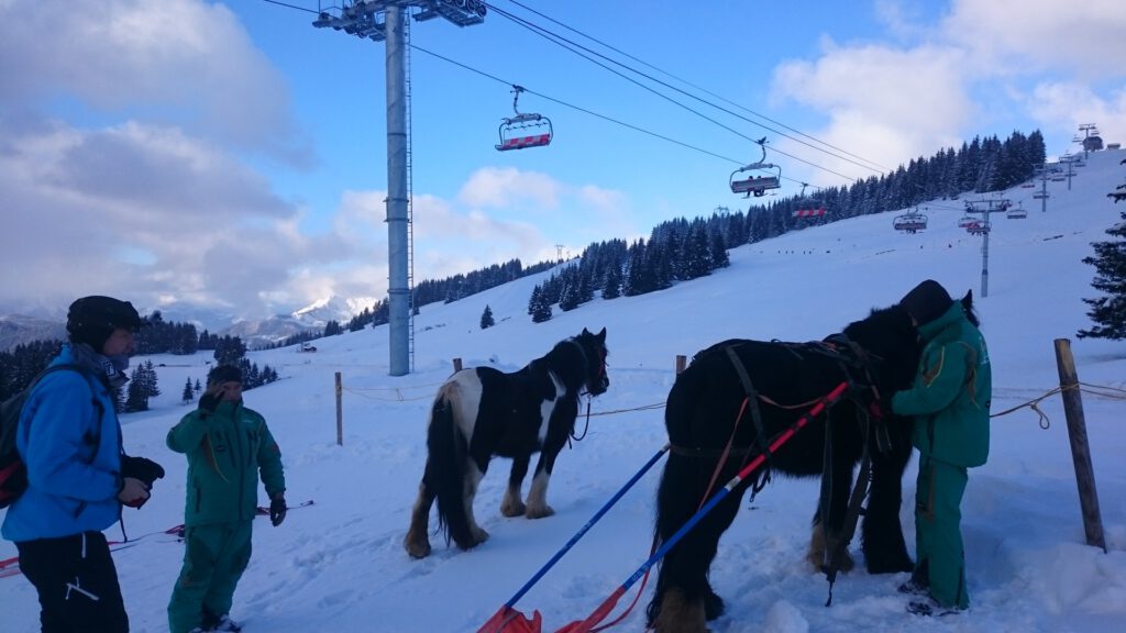 Ski joering in wintersportgebied Portes du Soleil