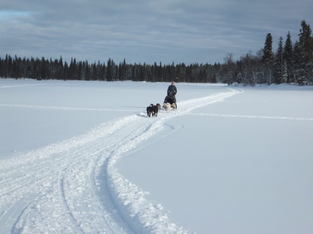 Wintersportvakantie in Finland