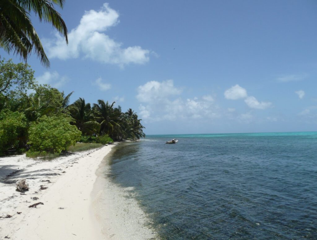 Mooi strand op Half Moon Caye Belize