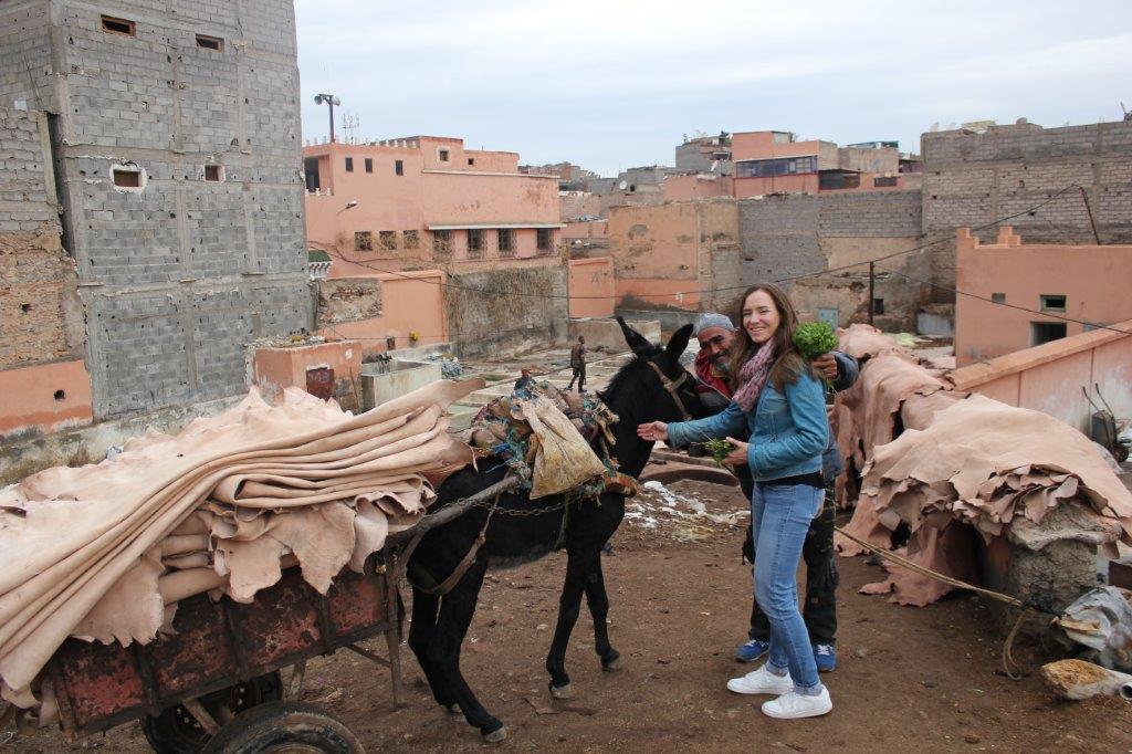 Leerlooierij Marrakach tegenvallende bestemmingen Marokko