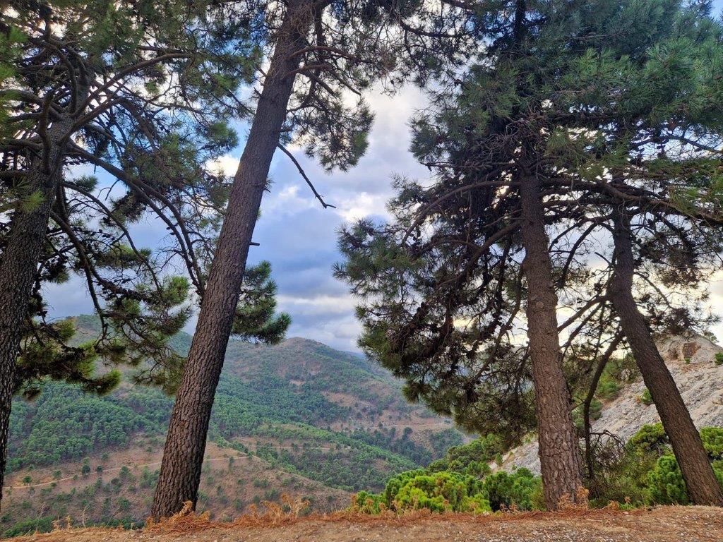 Uitzicht vanaf A-397 de mooiste weg van Spanje