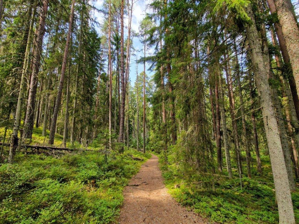 Dingen om te doen in Estland Old Nature Trail in nationaal park Laahemaa