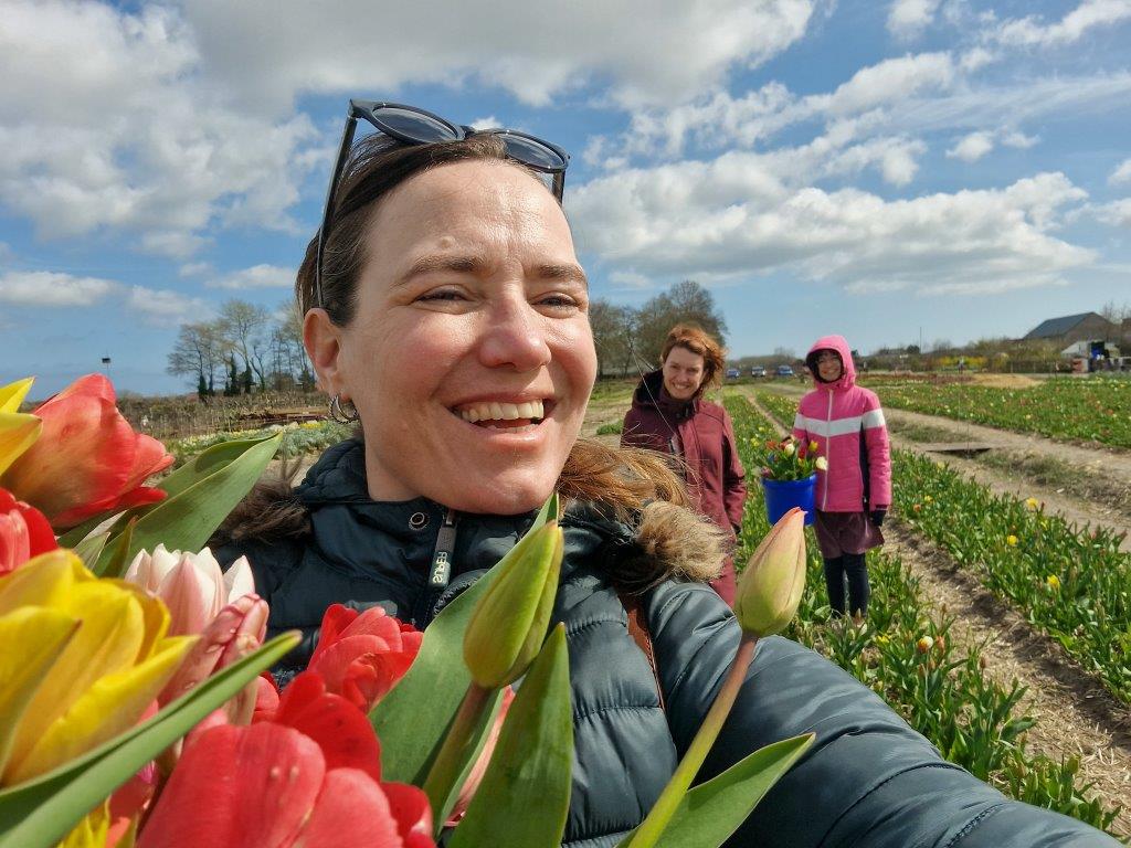 Tulpen pluktuin Bakkum Castricum Noord-Holland