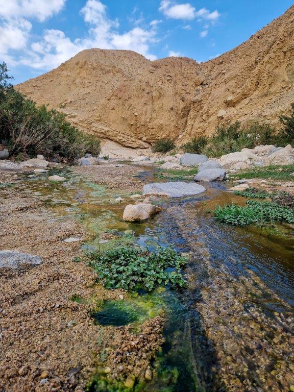 Hike door Wadi Ghuweir in Jordanië