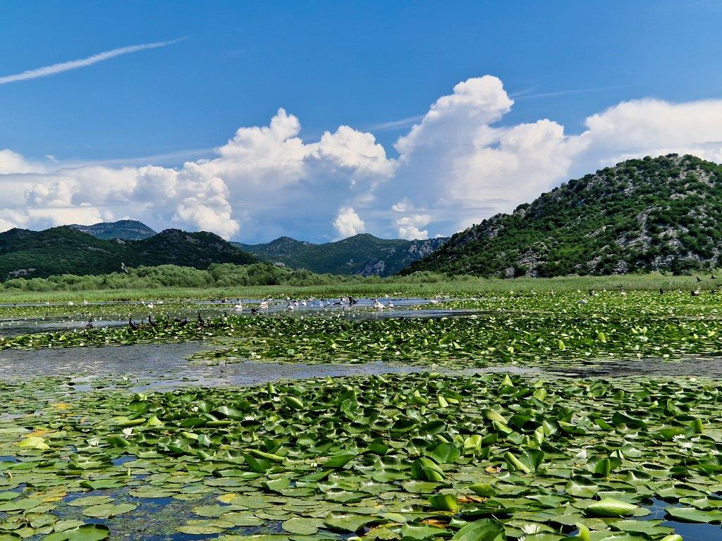 Vakantieland Montenegro boottocht Lake Shkadar