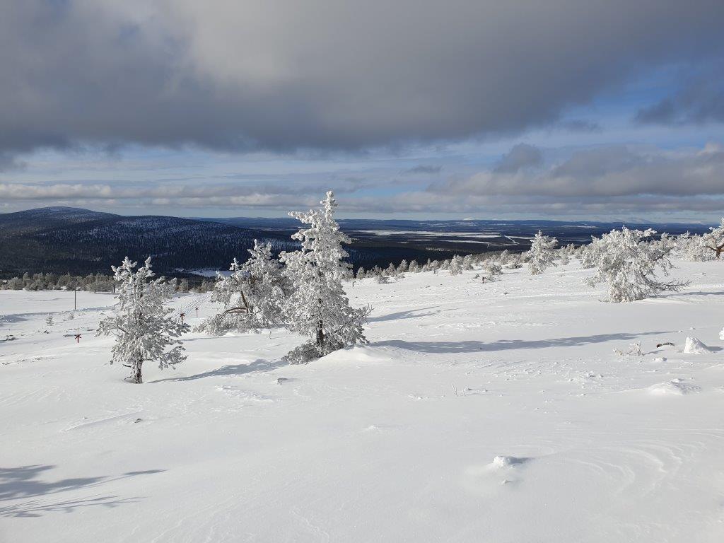 Landschap in Fins Lapland in de winter